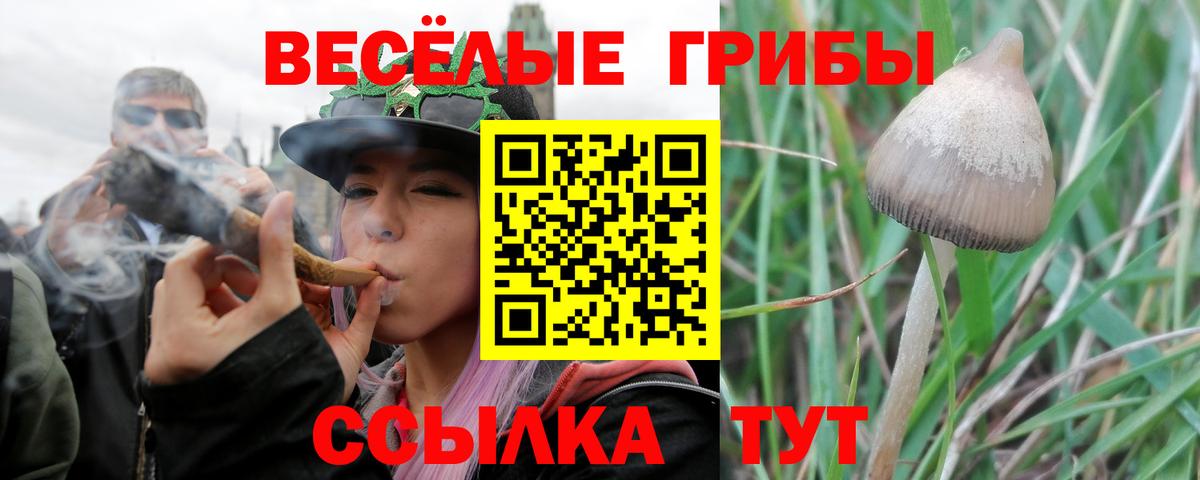 Галлюциногенные грибы Magic Shrooms Березники